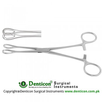Foerster Sponge Holding Forcep Curved - Smoth Jaw Stainless Steel, 24.5 cm - 9 3/4"